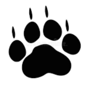 cropped screenshot 2025 10 30 124657 1.png